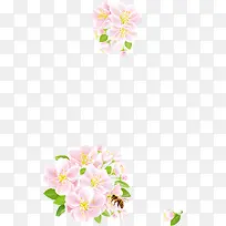 花卉边框设计-空若网 花卉边框设计-空若网