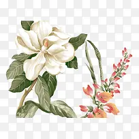 手绘彩色花朵-空若网 手绘彩色花朵-空若网