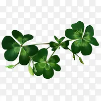 绿色四叶草-空若网 绿色四叶草-空若网