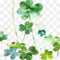 Ψ���ֻ�ˮ����Ҷ��-������