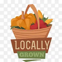 ͯȤũ��ʸ���ز��߲�-������