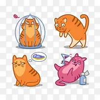 橙色小猫图标-空若网 橙色小猫图标-空若网