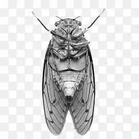 ������-������