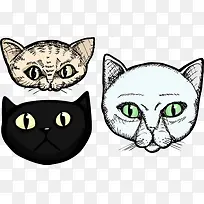 不同类型的猫鼻子-空若网 不同类型的猫鼻子-空若网