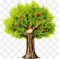 �������ӵ���ɫ����-������