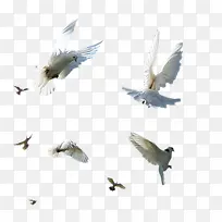 ���������Ԫ��-������