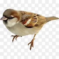 �ɰ�С��ȸ-������