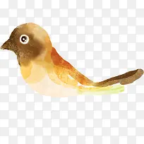 水彩麻雀-空若网 水彩麻雀-空若网