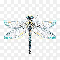 ��ɫ����-������