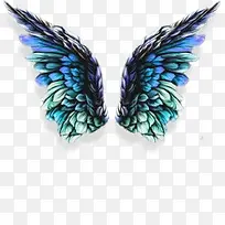 翅膀-空若网 翅膀-空若网