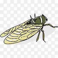 翅膀手绘风格彩色蝉-空若网 翅膀手绘风格彩色蝉-空若网