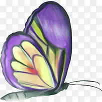 手绘蝴蝶-空若网 手绘蝴蝶-空若网