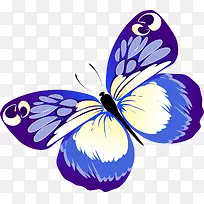 唯美多彩蝴蝶-空若网 唯美多彩蝴蝶-空若网