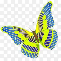 唯美多彩蝴蝶-空若网 唯美多彩蝴蝶-空若网