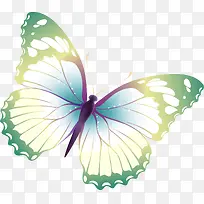 �ֻ��ʺ������-������