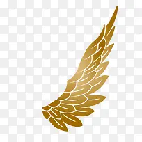 ���-������