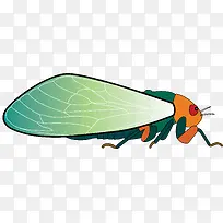 渐变翅膀矢量昆虫蝉-空若网 渐变翅膀矢量昆虫蝉-空若网