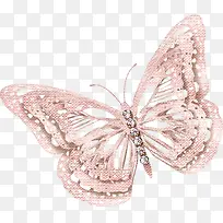 彩绘蝴蝶-空若网 彩绘蝴蝶-空若网