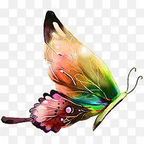 时尚蝴蝶-空若网 时尚蝴蝶-空若网