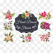 �廭Ԫ��-������