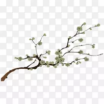 ��֦��ֽ������֦-������