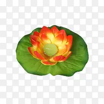 ��ɫ��ˮ��-������