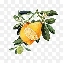 ˮ������-������