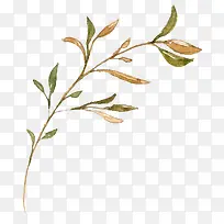 �ֻ�Ҷ��-������