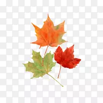 ÇïÒ¶²Ê»æË®²Ê»-Ò¶Ë®²Ê»-¿ÕÈôÍø ÇïÒ¶²Ê»æË®²Ê»-Ò¶Ë®²Ê»-¿ÕÈôÍø