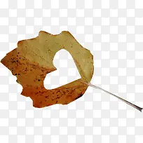 创意手绘秋天的枫叶爱心-空若网 创意手绘秋天的枫叶爱心-空若网