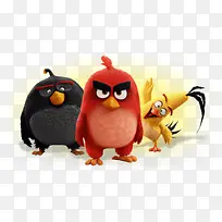 可爱卡通搞怪小鸟-空若网 可爱卡通搞怪小鸟-空若网