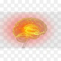 大脑神经系统示意图-空若网 大脑神经系统示意图-空若网