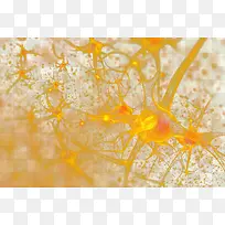 神经系统回路演示图去背景png-空若网 神经系统回路演示图去背景png-空若网