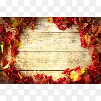 彩色时尚果子叶子背景-空若网 彩色时尚果子叶子背景-空若网