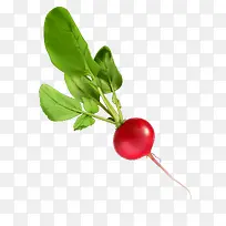 ��ͨ�߲�װ��2-������