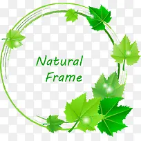 树叶树环-空若网 树叶树环-空若网