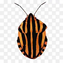 ���沼����-������