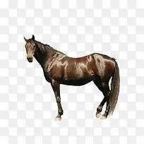 ������-������