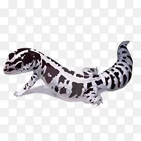 ʸ��ˮ�ʺڰװߵ�����-������