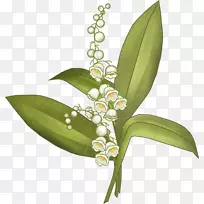 百合花博客-山谷百合花-空若网 百合花博客-山谷百合花-空若网