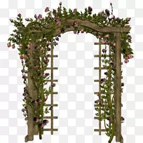 花园玫瑰花瓣花卉设计博客-苗圃-空若网 花园玫瑰花瓣花卉设计博客-苗圃-空若网