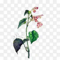 Ë®²Ê·ÛÉ«ÌÙÂû»¨ËزÄ-¿ÕÈôÍø Ë®²Ê·ÛÉ«ÌÙÂû»¨ËزÄ-¿ÕÈôÍø