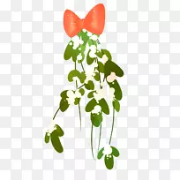 切花授粉器花卉设计-槲寄生-空若网 切花授粉器花卉设计-槲寄生-空若网