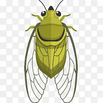 绿色肥硕的昆虫类动物-空若网 绿色肥硕的昆虫类动物-空若网