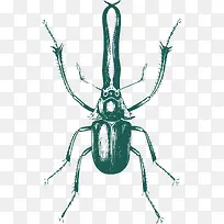 ������Ӳ������ɫ����-������