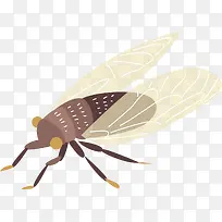 多脚类起飞的白色昆虫-空若网 多脚类起飞的白色昆虫-空若网