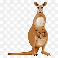 ��ͨ����-������