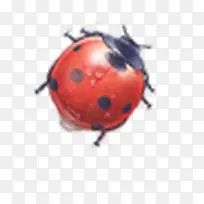 淘宝电商春季新款图-空若网 淘宝电商春季新款图-空若网