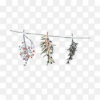 卡通晾干植物-空若网 卡通晾干植物-空若网