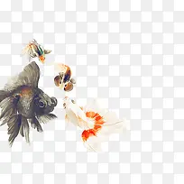 手绘黑白色可爱金鱼-空若网 手绘黑白色可爱金鱼-空若网